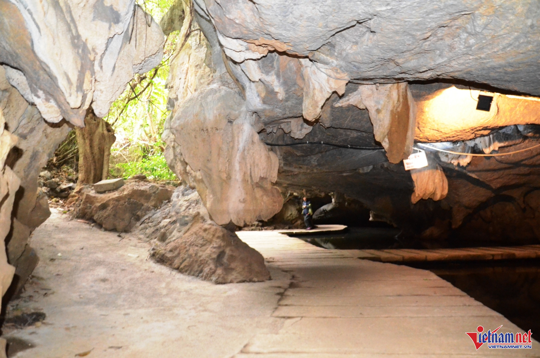 W-Tiên Cá 5.JPG.jpg