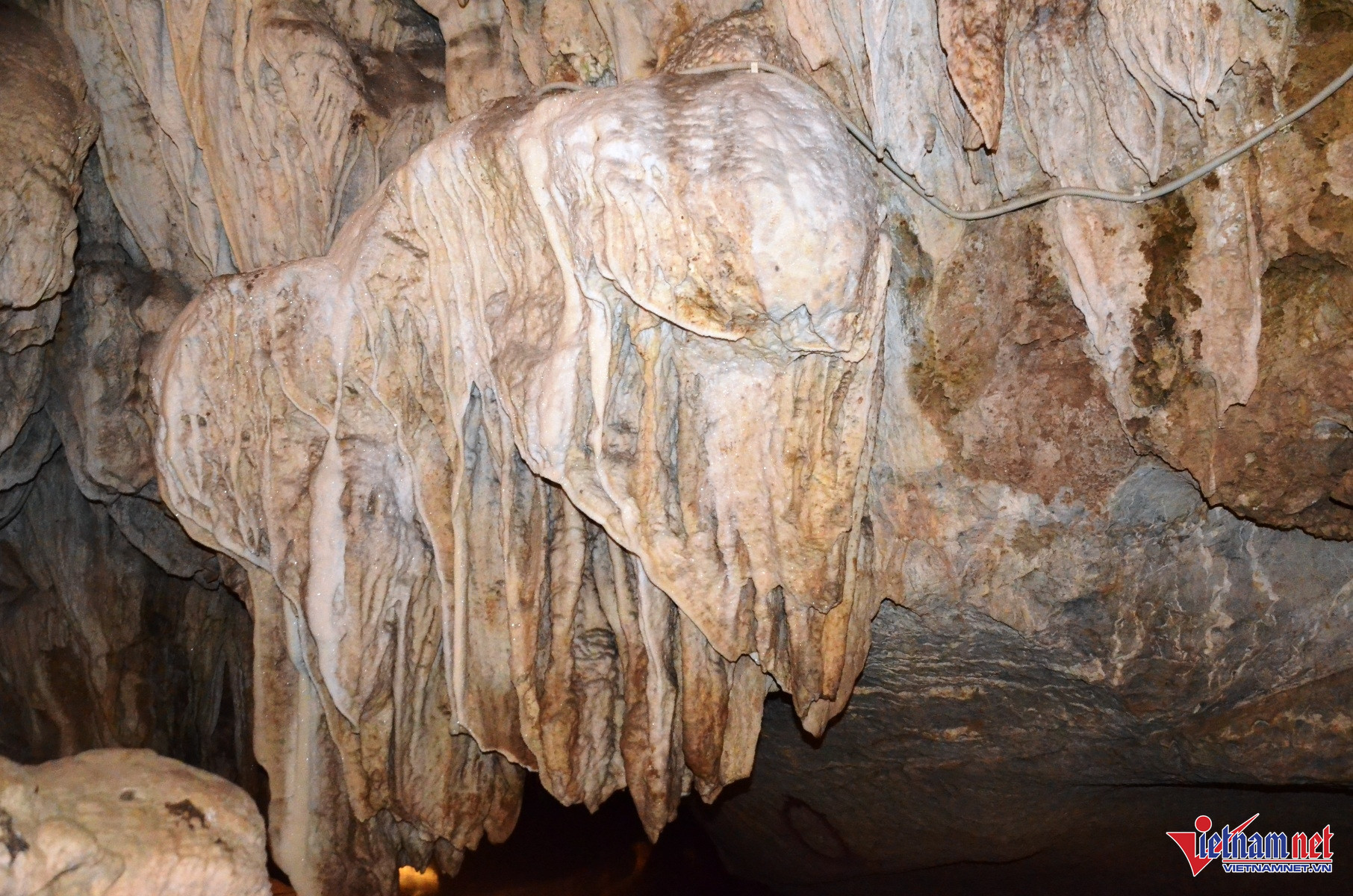 W-Tiên Cá 8.JPG.jpg