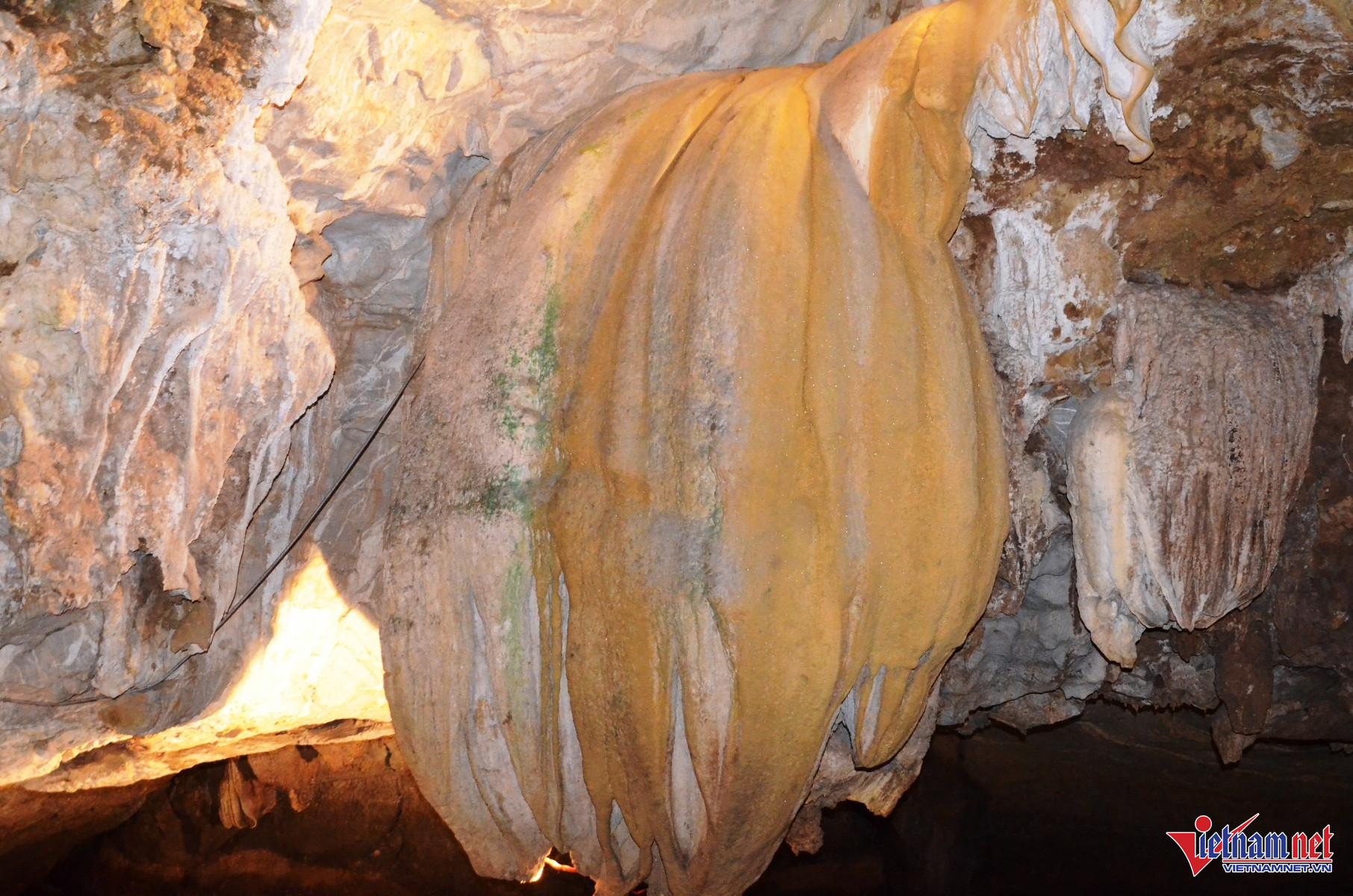 W-Tiên Cá 15.JPG.jpg