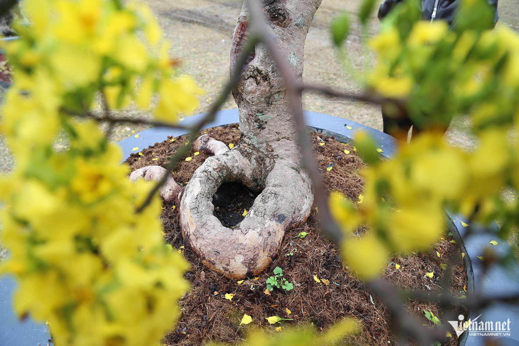 w anh 10jpg 3182.jpeg