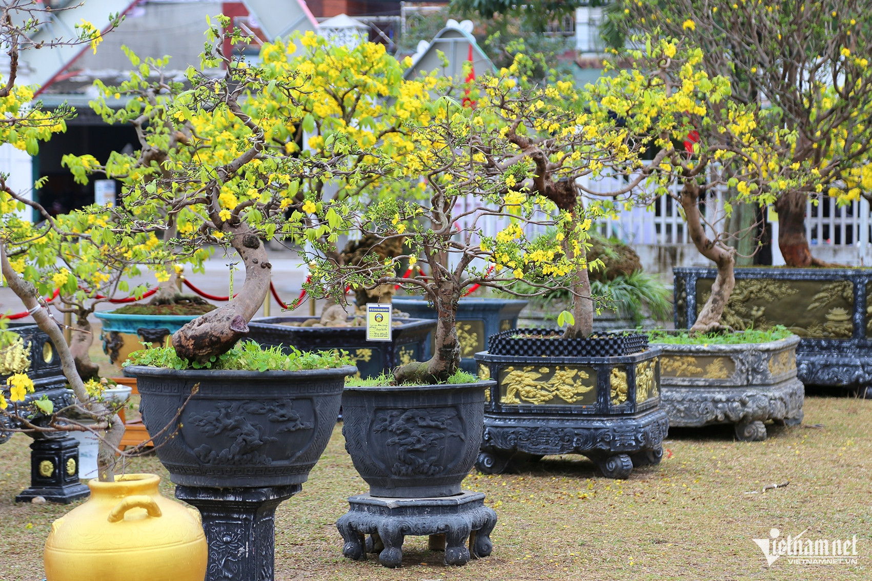 w anh 11jpg 3176.jpeg