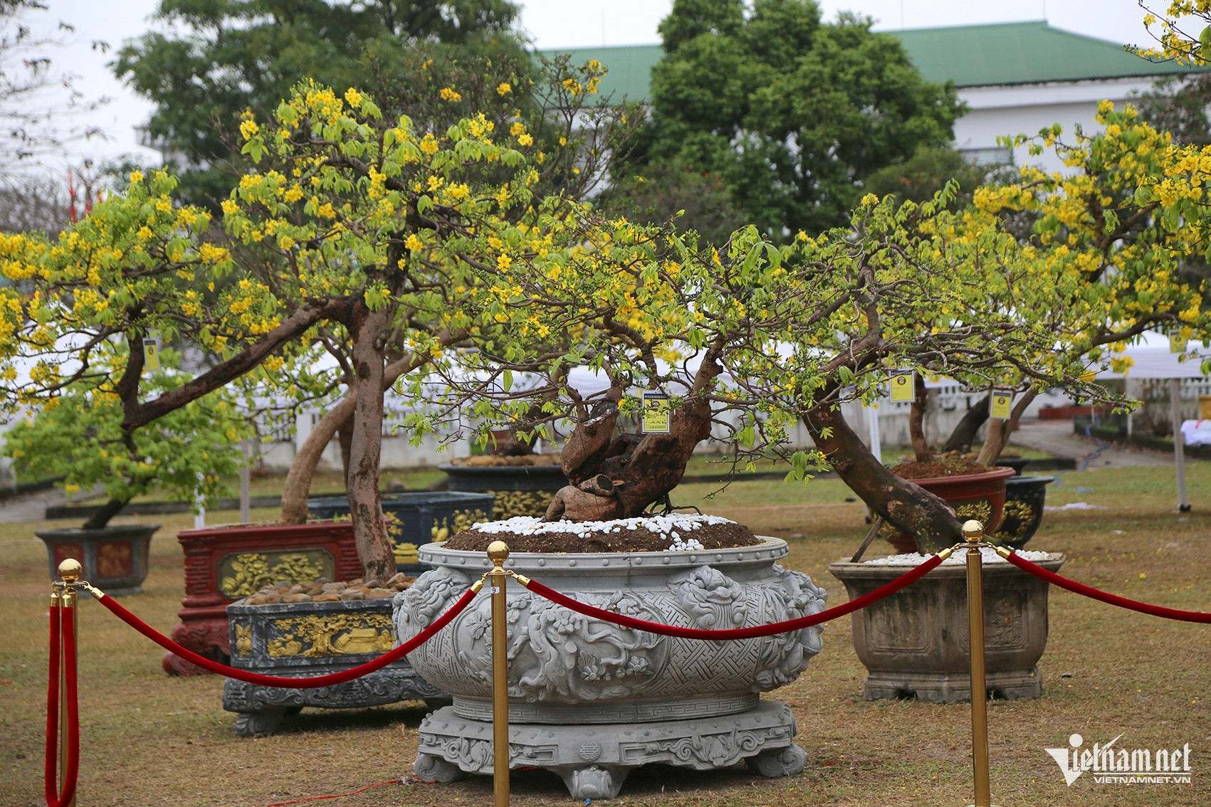 w anh 12jpg 3178 (1).jpeg