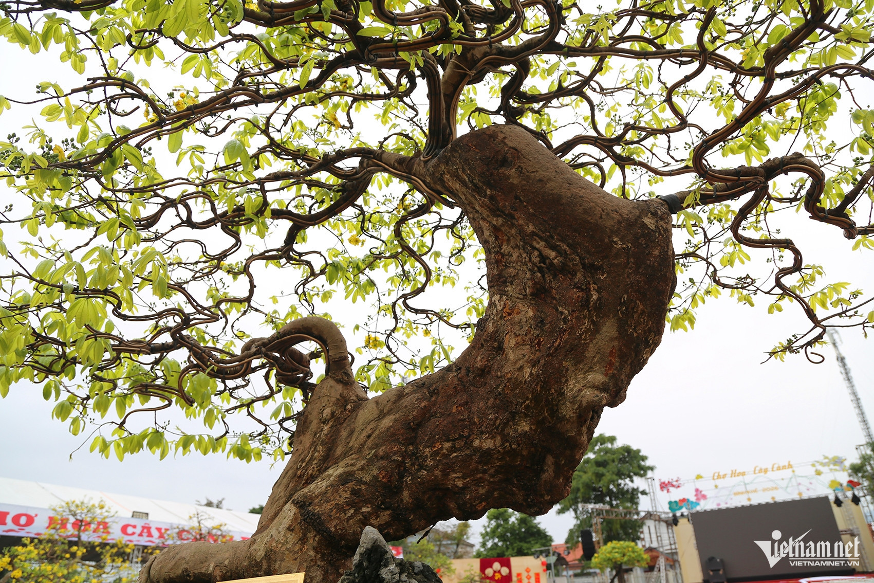 w anh 1jpg 3172 (1).jpeg