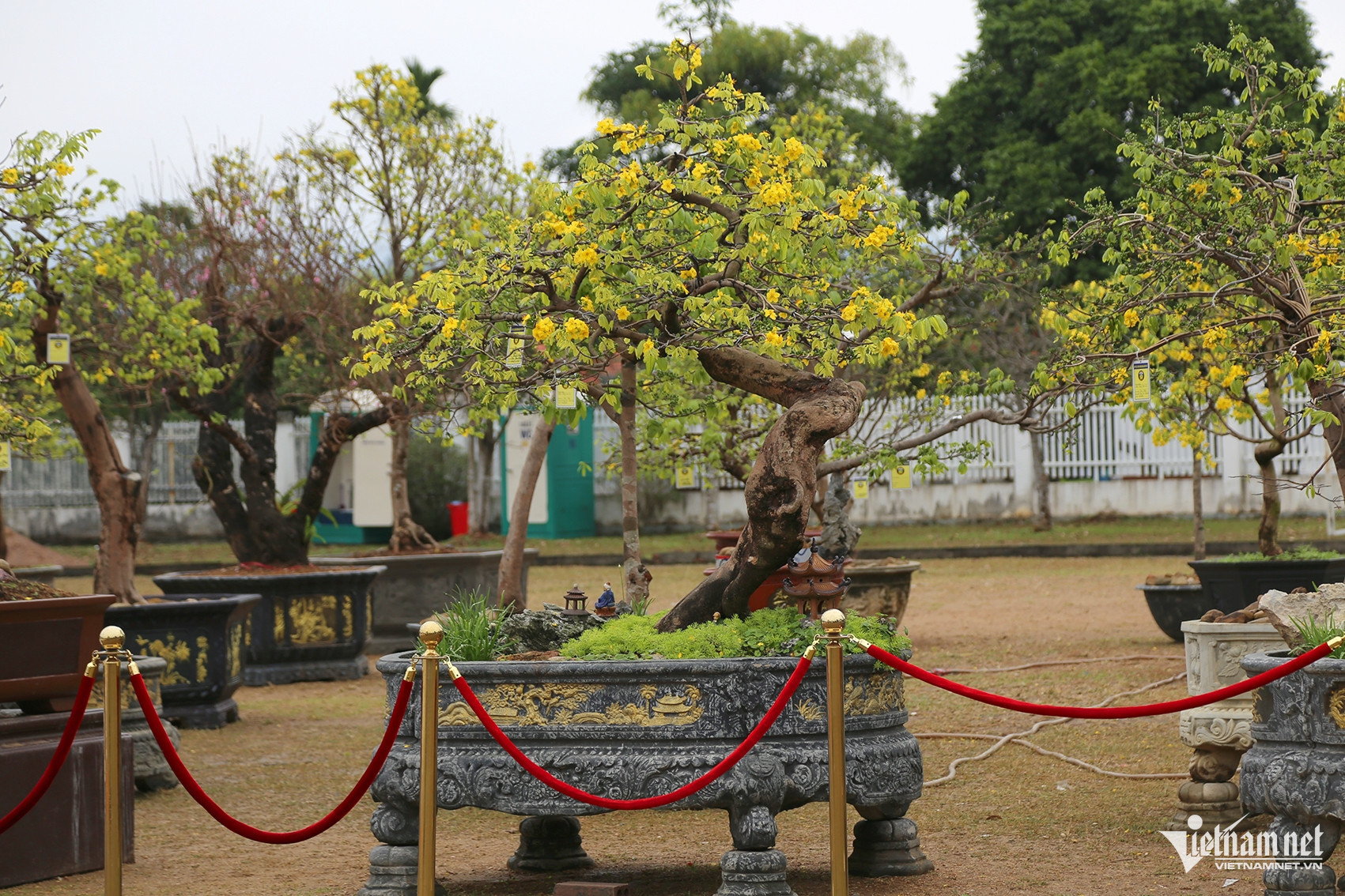 w anh 8jpg 3180.jpeg