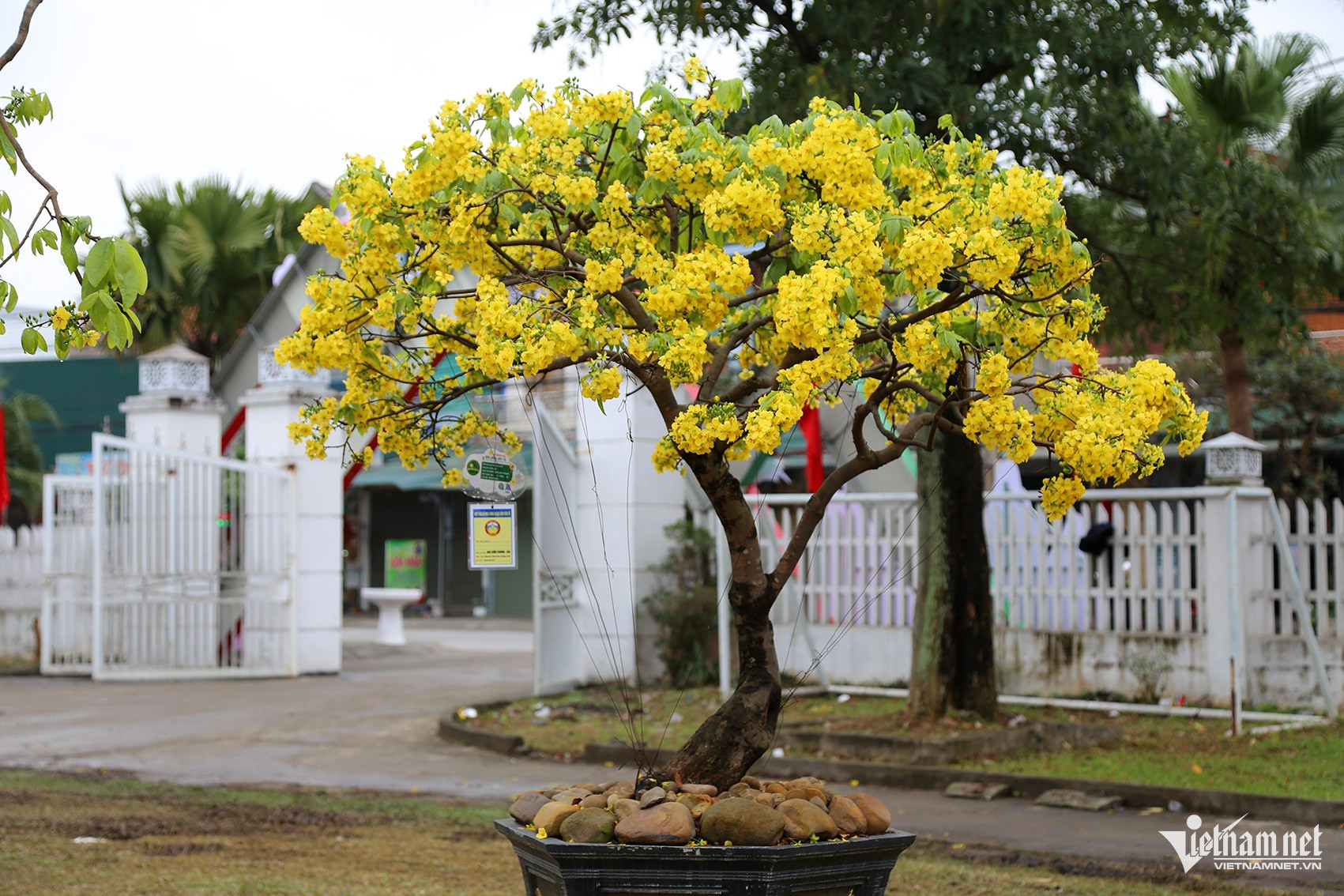 w anh 9jpg 3181.jpeg