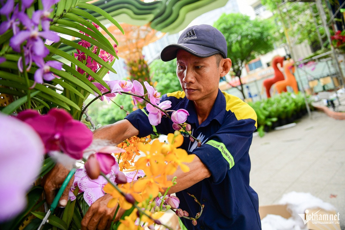 w duong hoa nguyen hue nguyen hue 15 3123 (1).jpeg