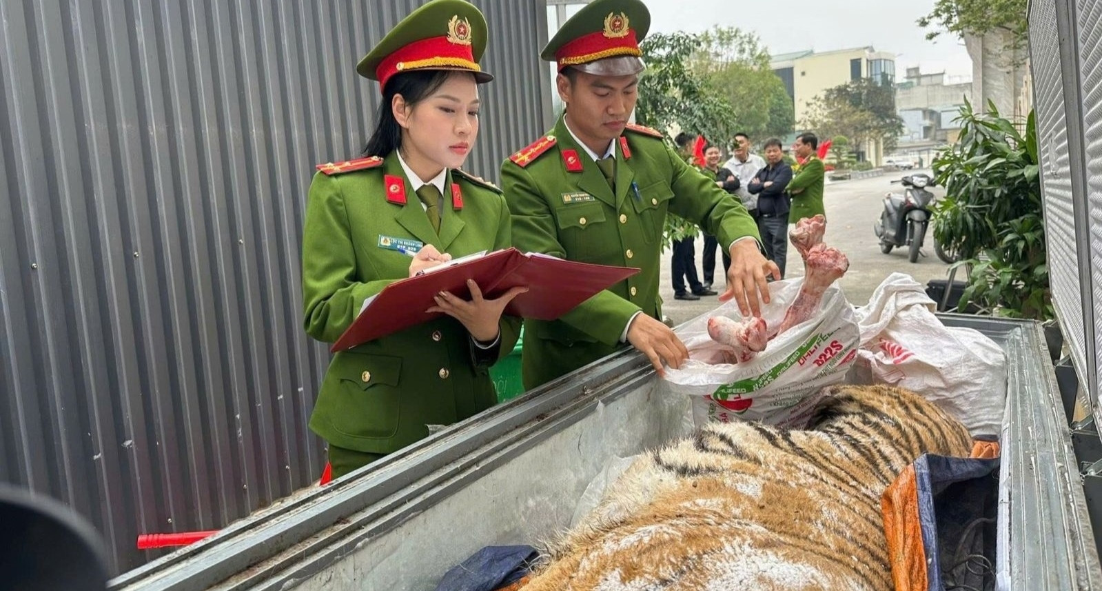 Police arrest suspects who built secret bunker to cook tiger glue in Thanh Hoa