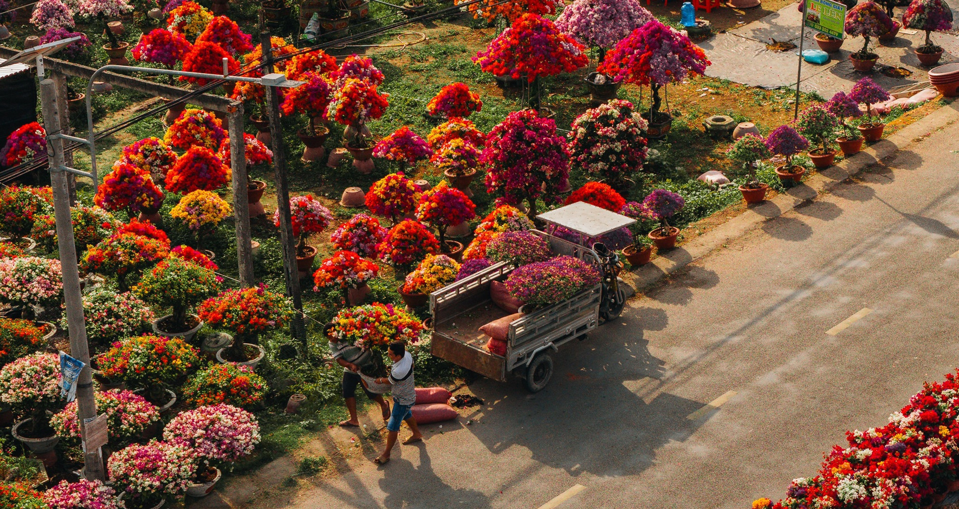 Tet comes alive in Vinh Long’s paper flower village