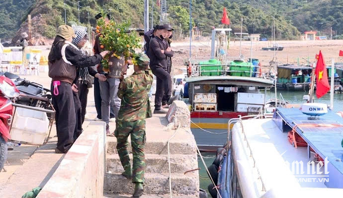 W-Cành đào, chậu quất vượt sóng ra khơi, mang Tết về bên đảo.jpg