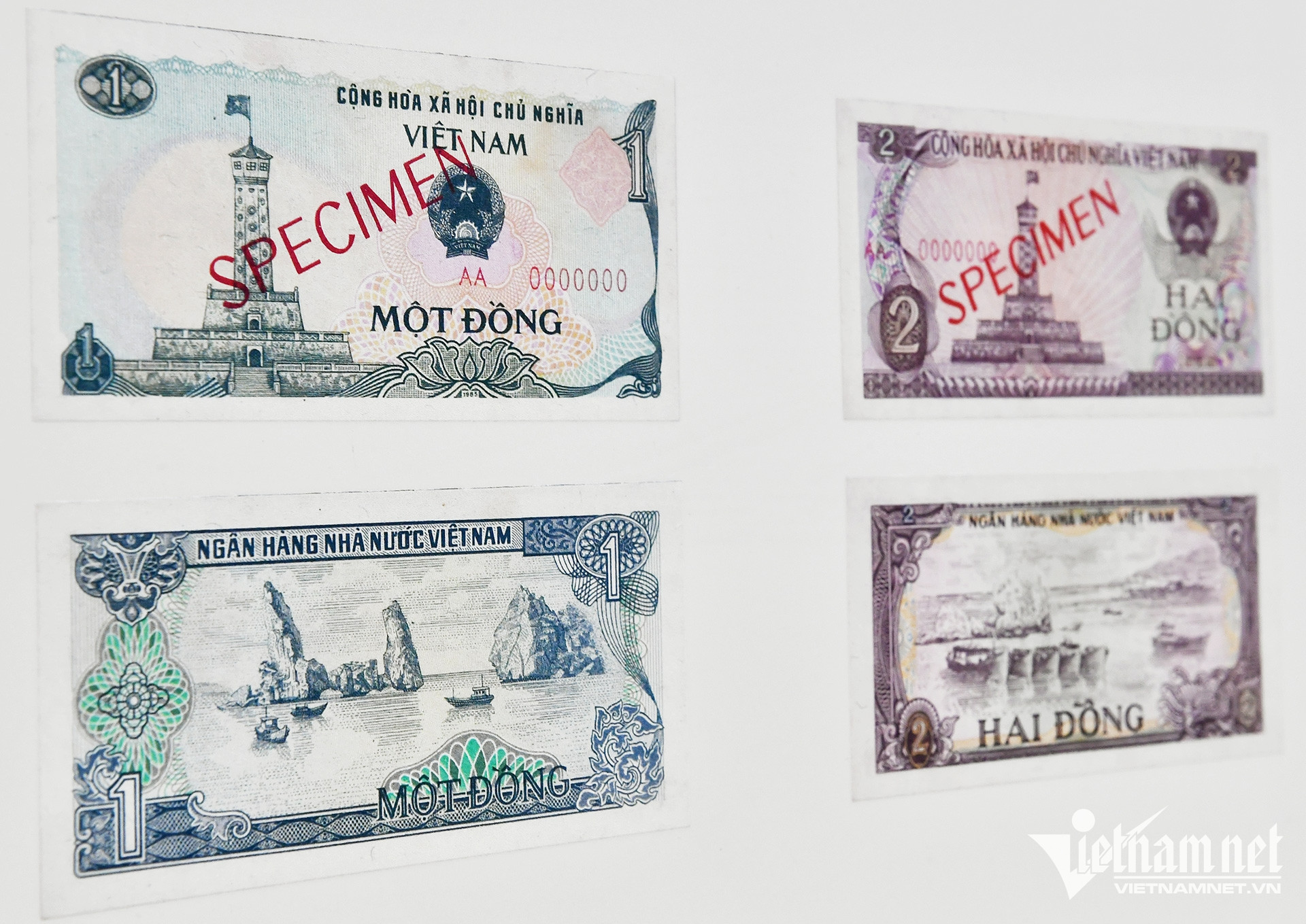 vn banknotes50.jpg