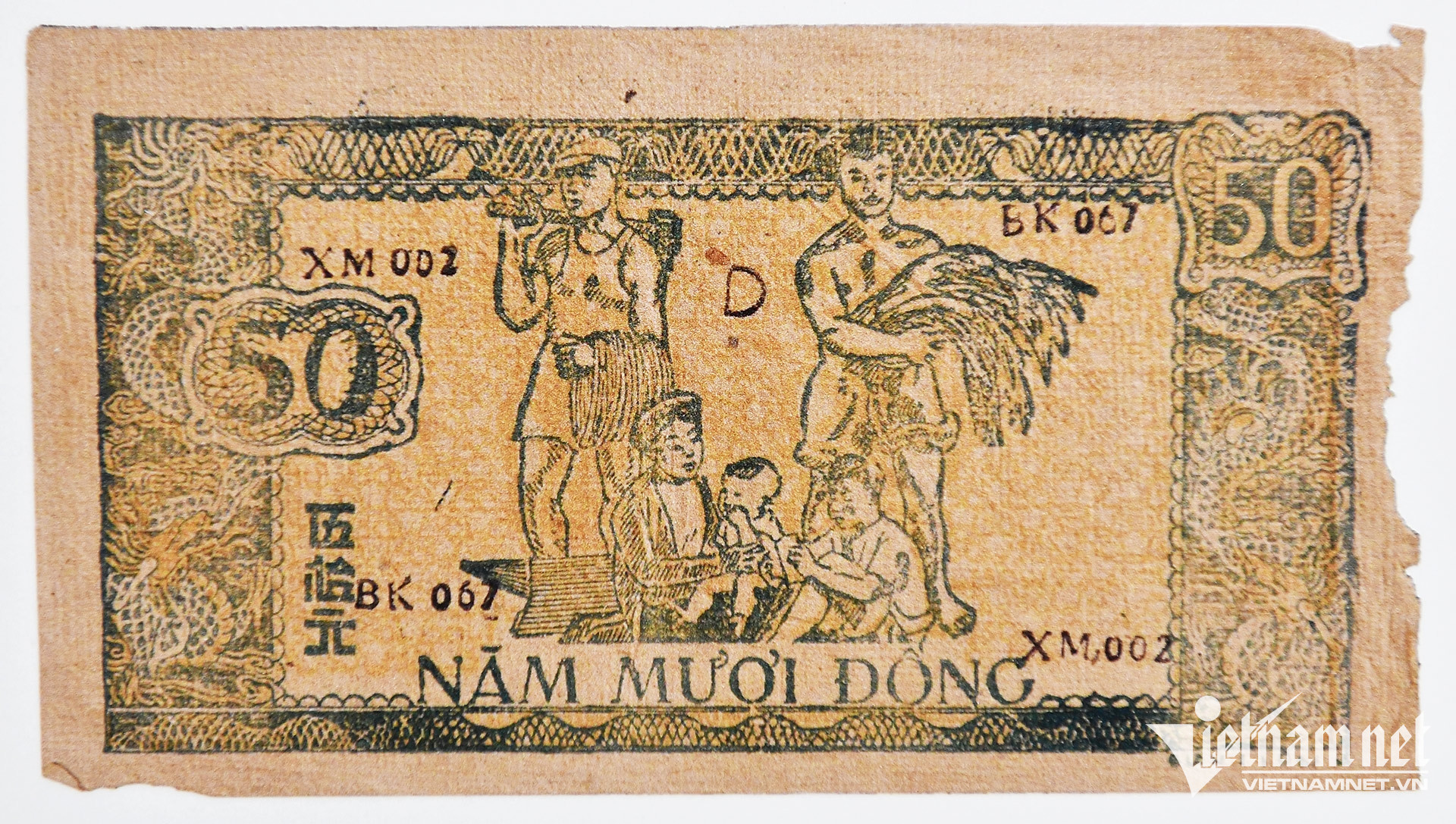 vn banknotes8.jpg