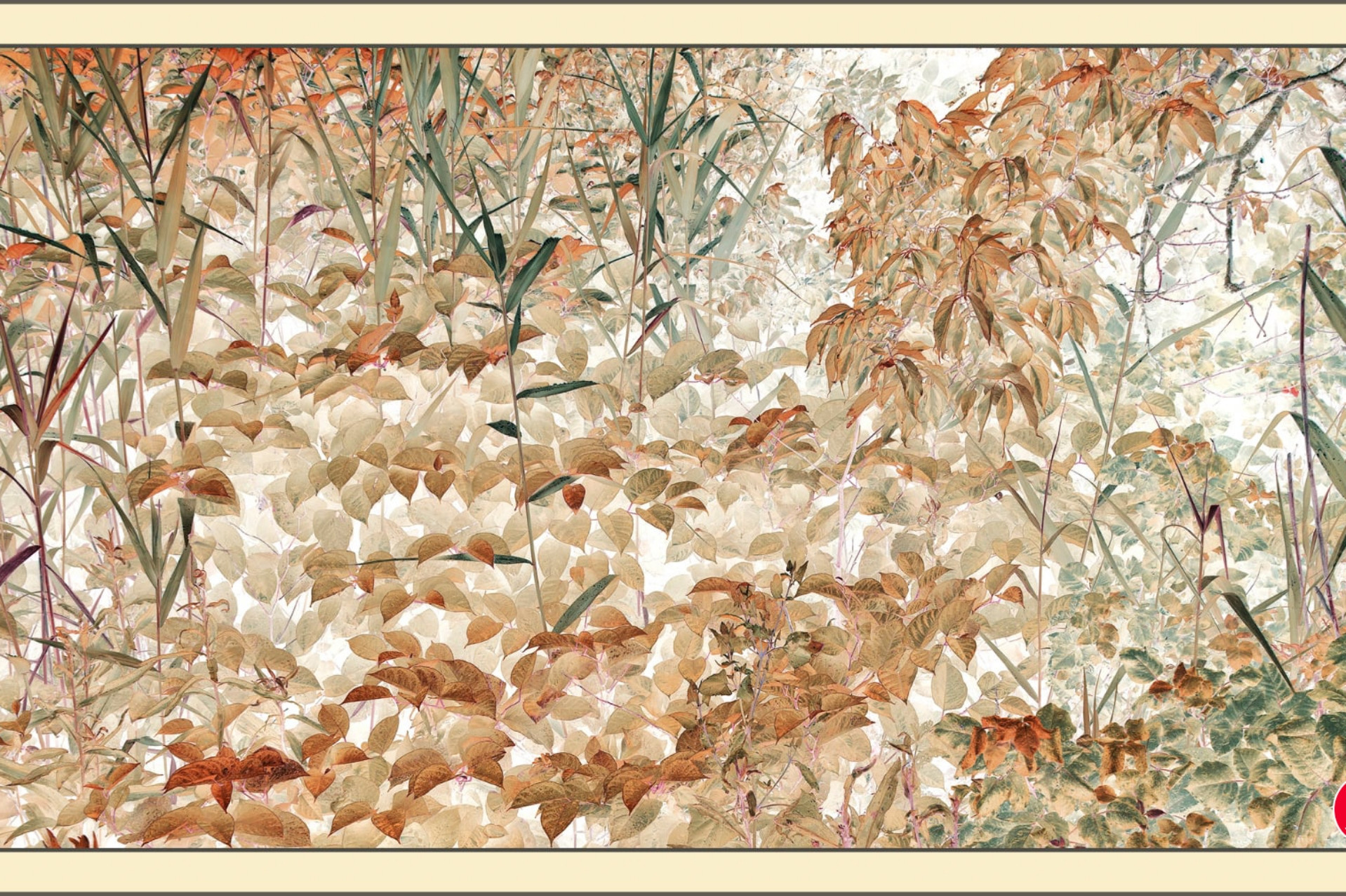 batch_Mona_s Hideaway   Tom Hricko.jpg