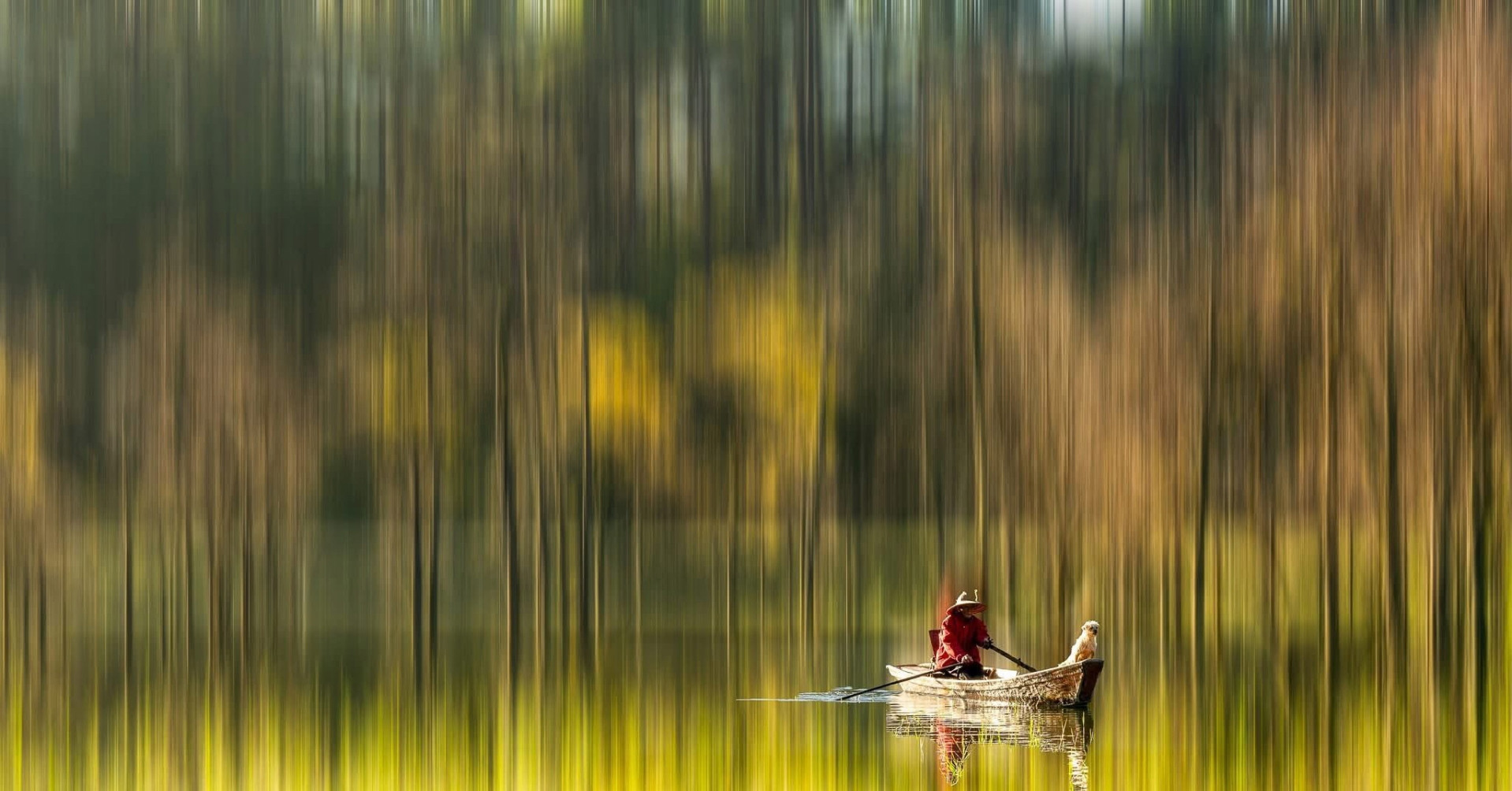 Nature becomes poetry through 10 photographers&rsquo; eyes