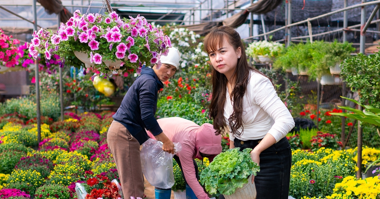 Northern flower village bustles as Tet draws near