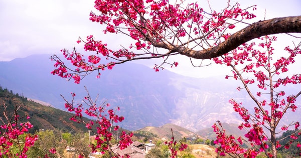 Good fortune, peace and cultural experiences within spring journeys