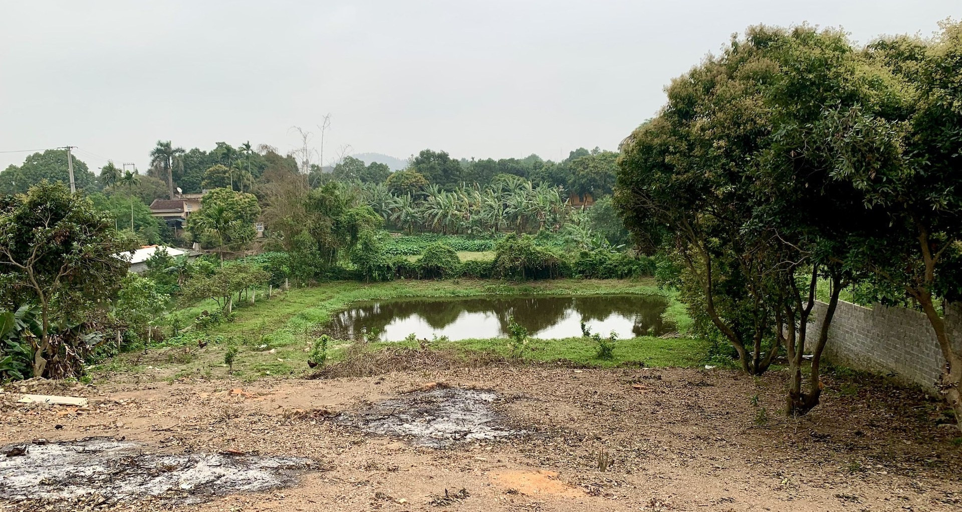 Three major land and construction reforms take effect in 2026