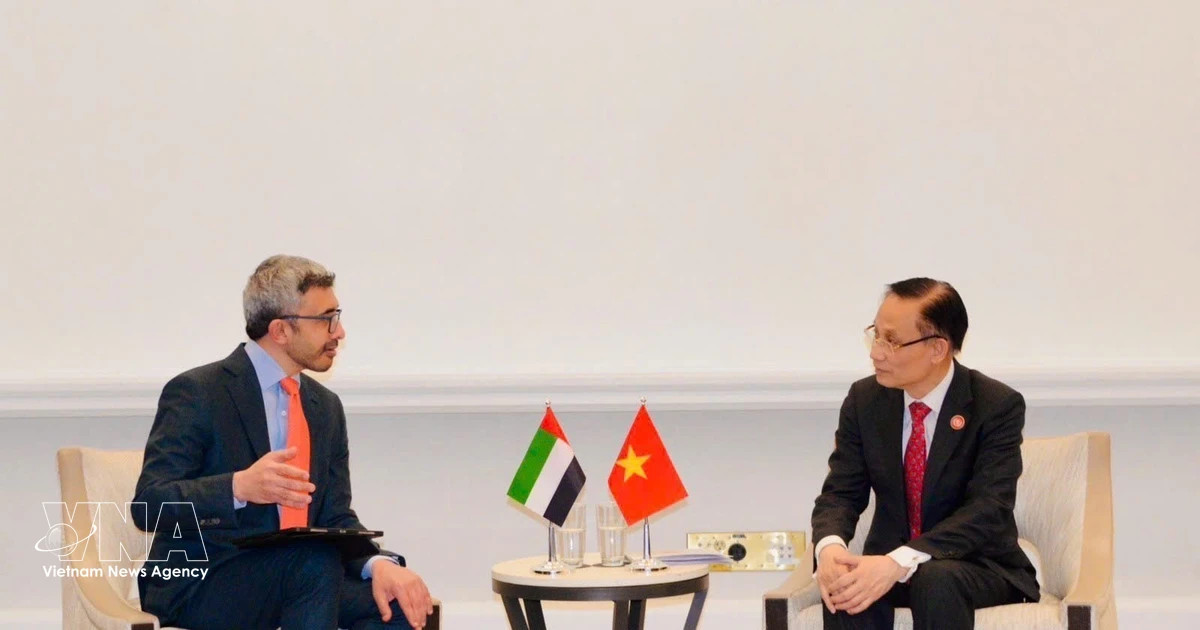 Vietnamese FM meets counterparts of UAE, Egypt and Türkiye