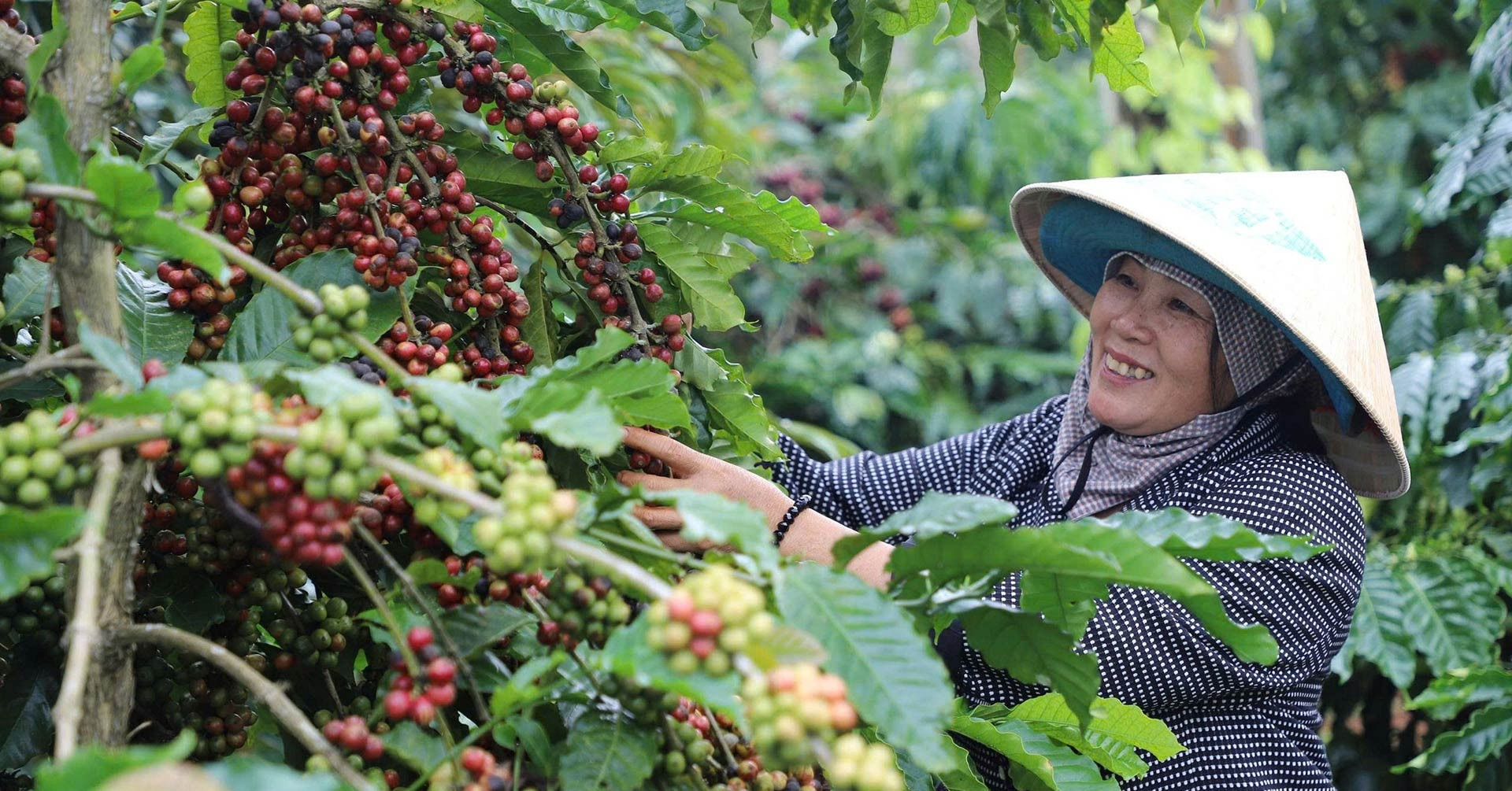Where prosperity grows beneath stilt-house roofs