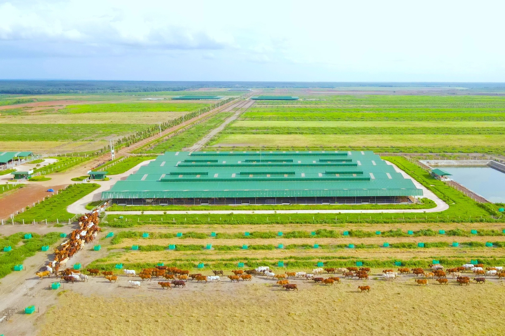 Employees are the heart of a billionaire's industrial agriculture vision