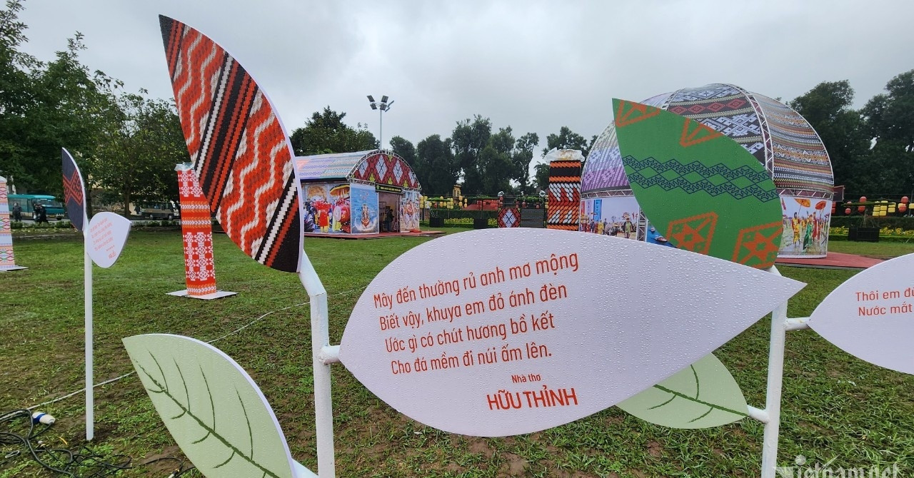 Vietnam Poetry Day returns with sea-inspired vision