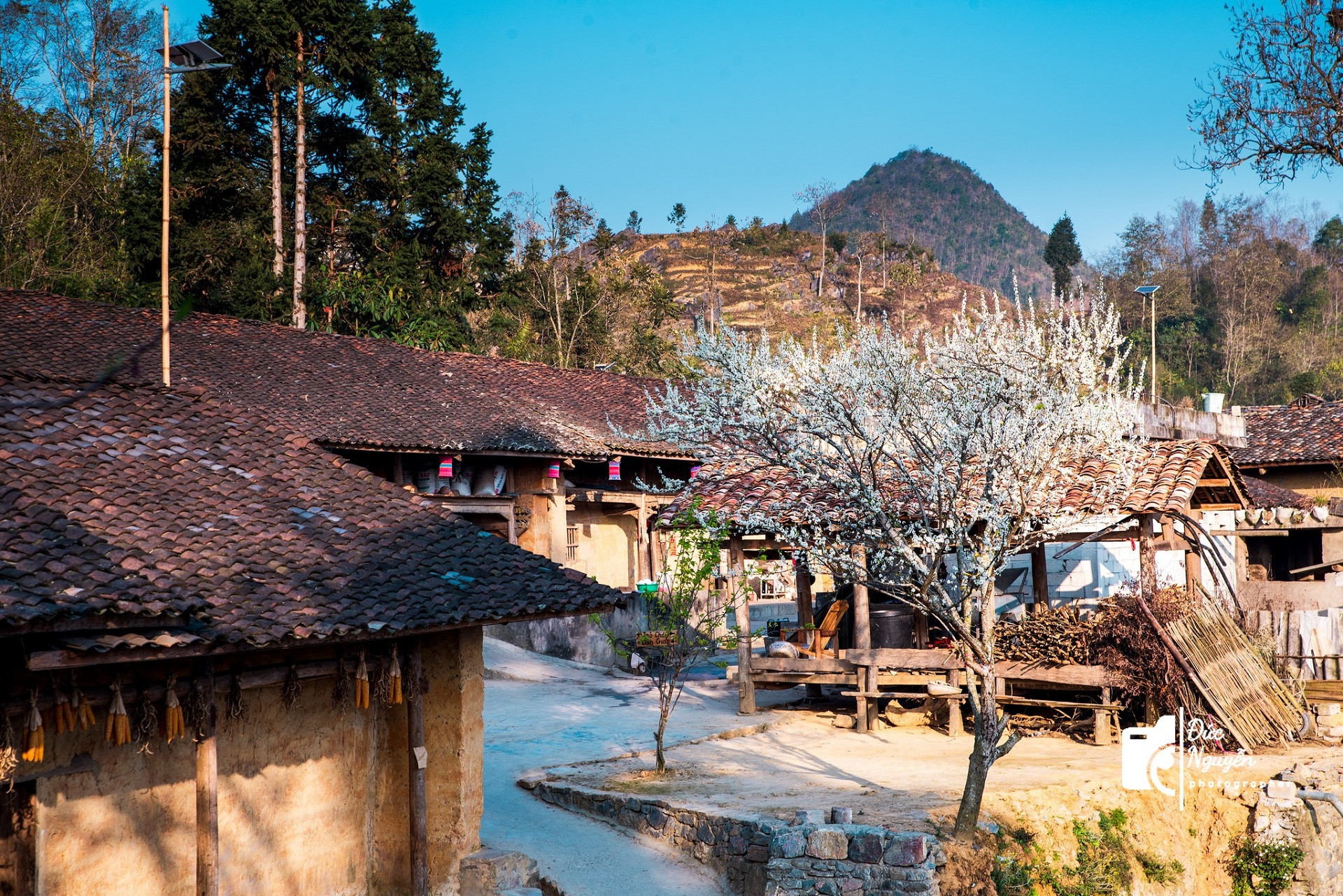 vietnam village7.jpg