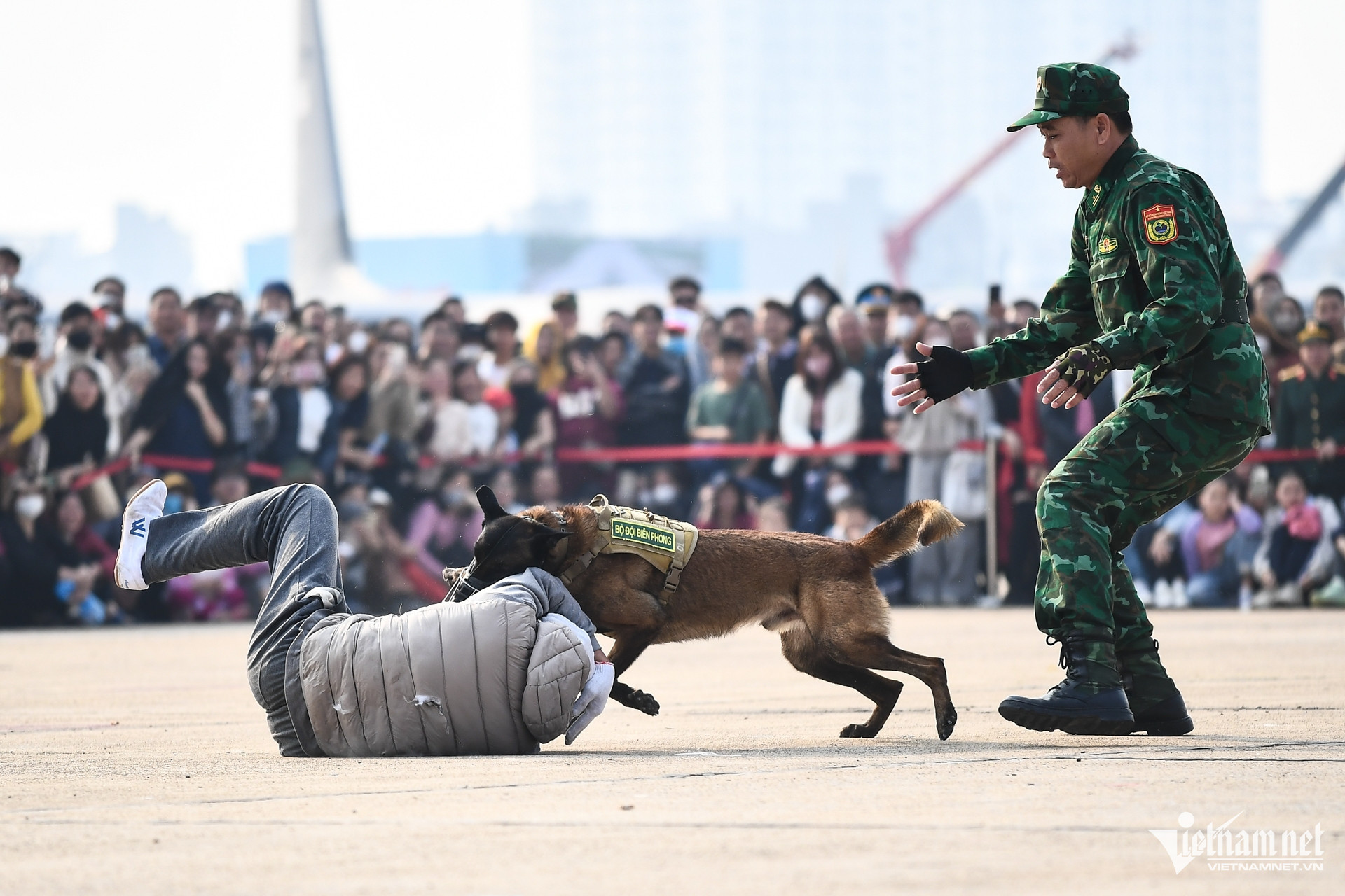 w cho nghiep vu trien lam quoc phong 20 109705.jpg