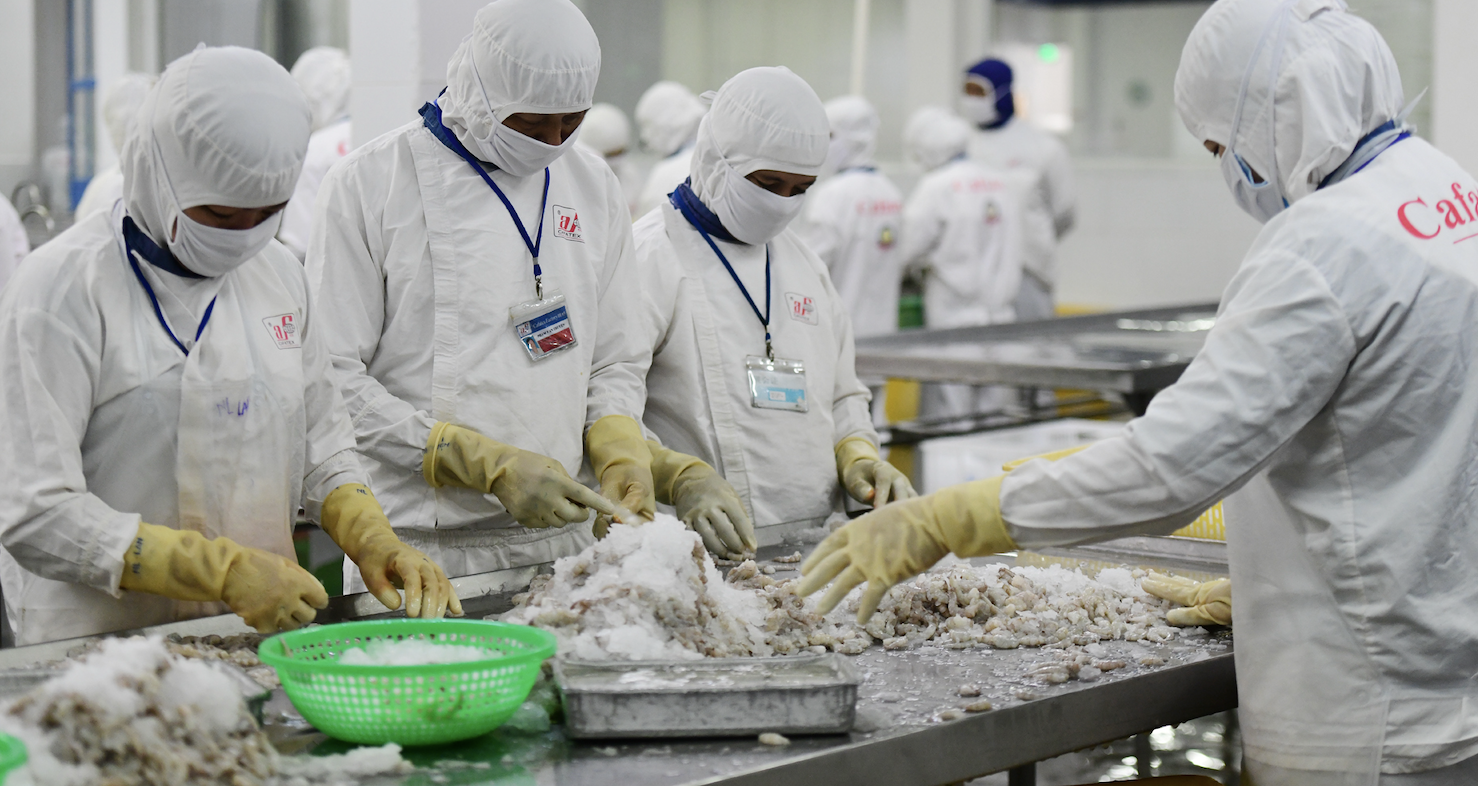 Vietnam’s US$4.6 billion shrimp industry wins fresh boosts from the US and China