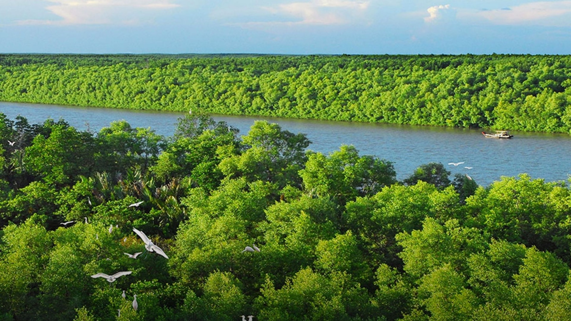 Thiết kế chưa có tên (1)