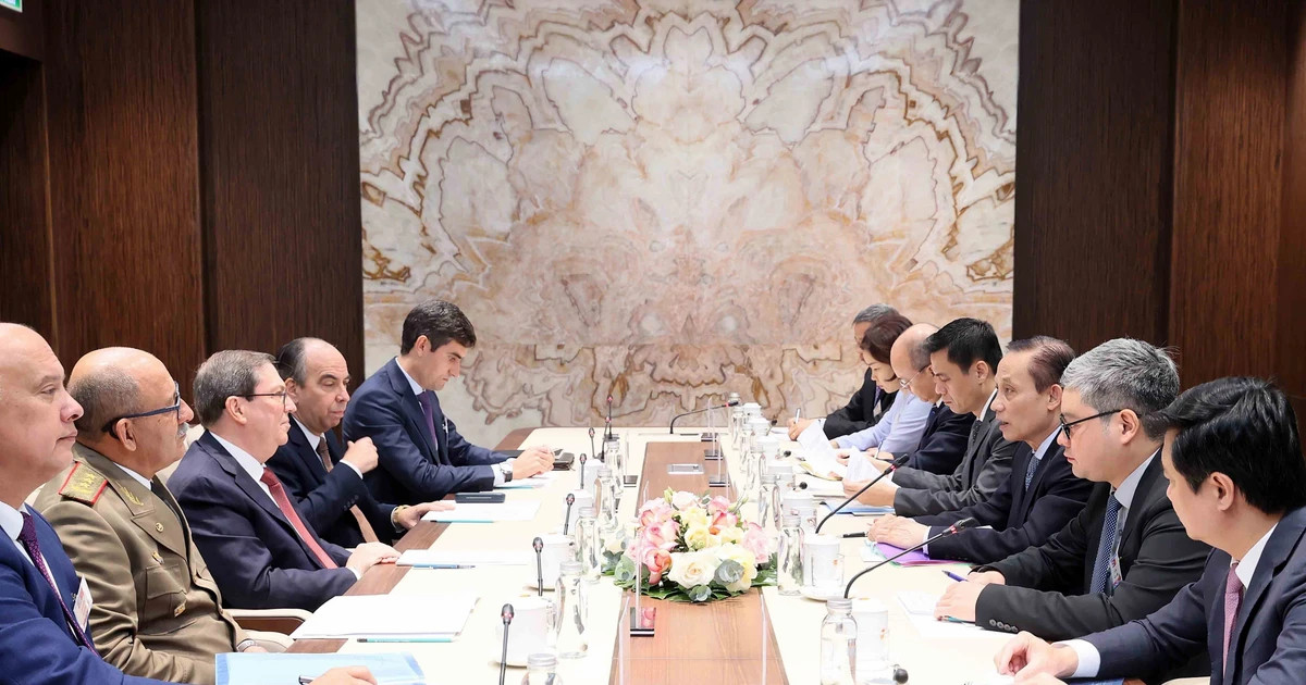 Vietnamese, Cuban foreign ministers underscore party diplomacy