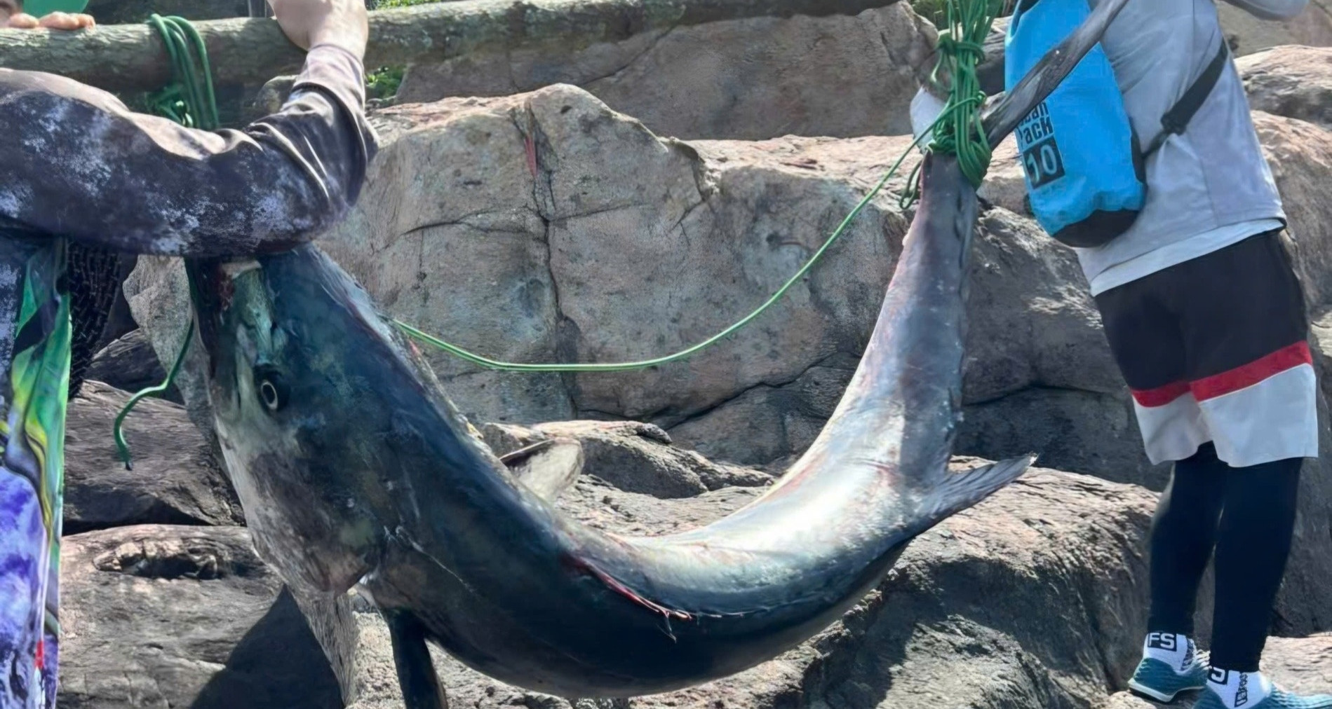 Da Nang angler lands 63kg king mackerel after intense hour-long battle