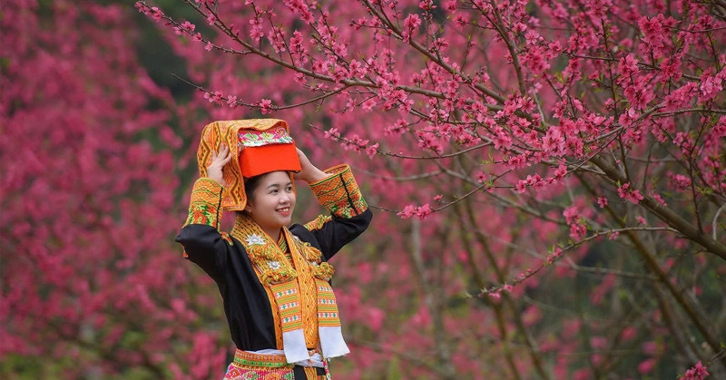 Lang Son celebrates Tet with dazzling peach blossom festival