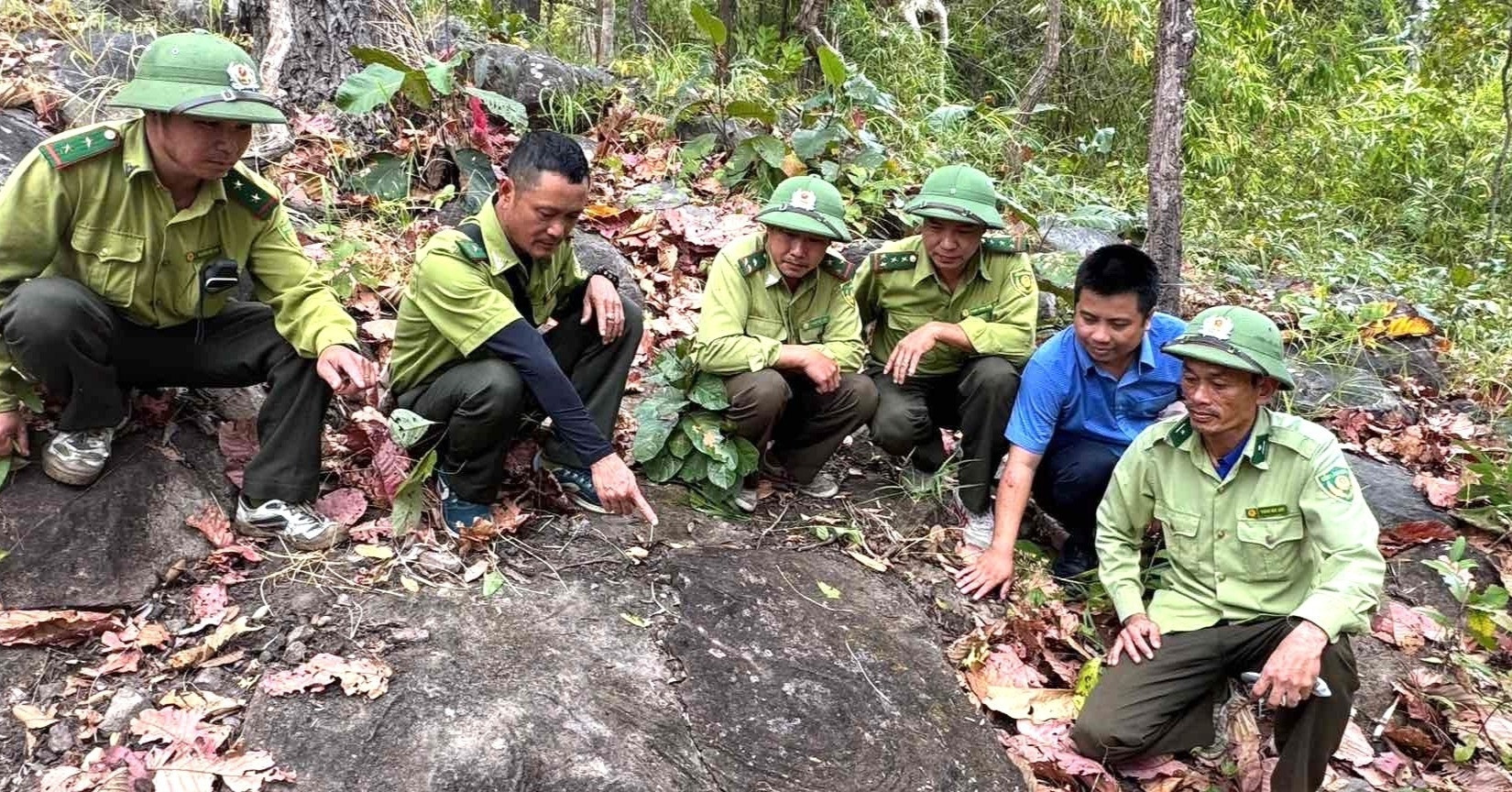 Mysterious stone carvings discovered deep in Yok Don National Park