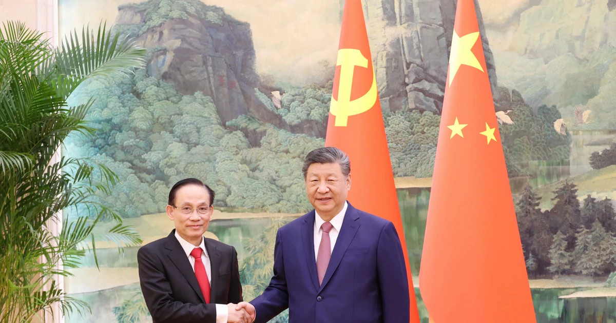 Vietnamese Party chief's Special Envoy meets with top Chinese leader