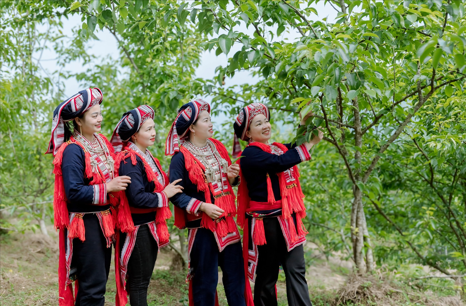 Vũ Mừng ảnh 1.jpg