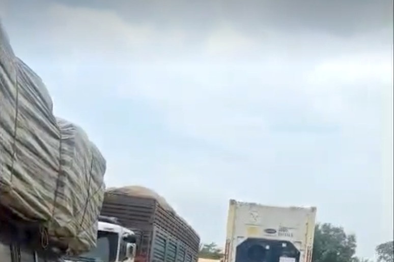 Imported food containers stuck at border due to lack of decree guidance