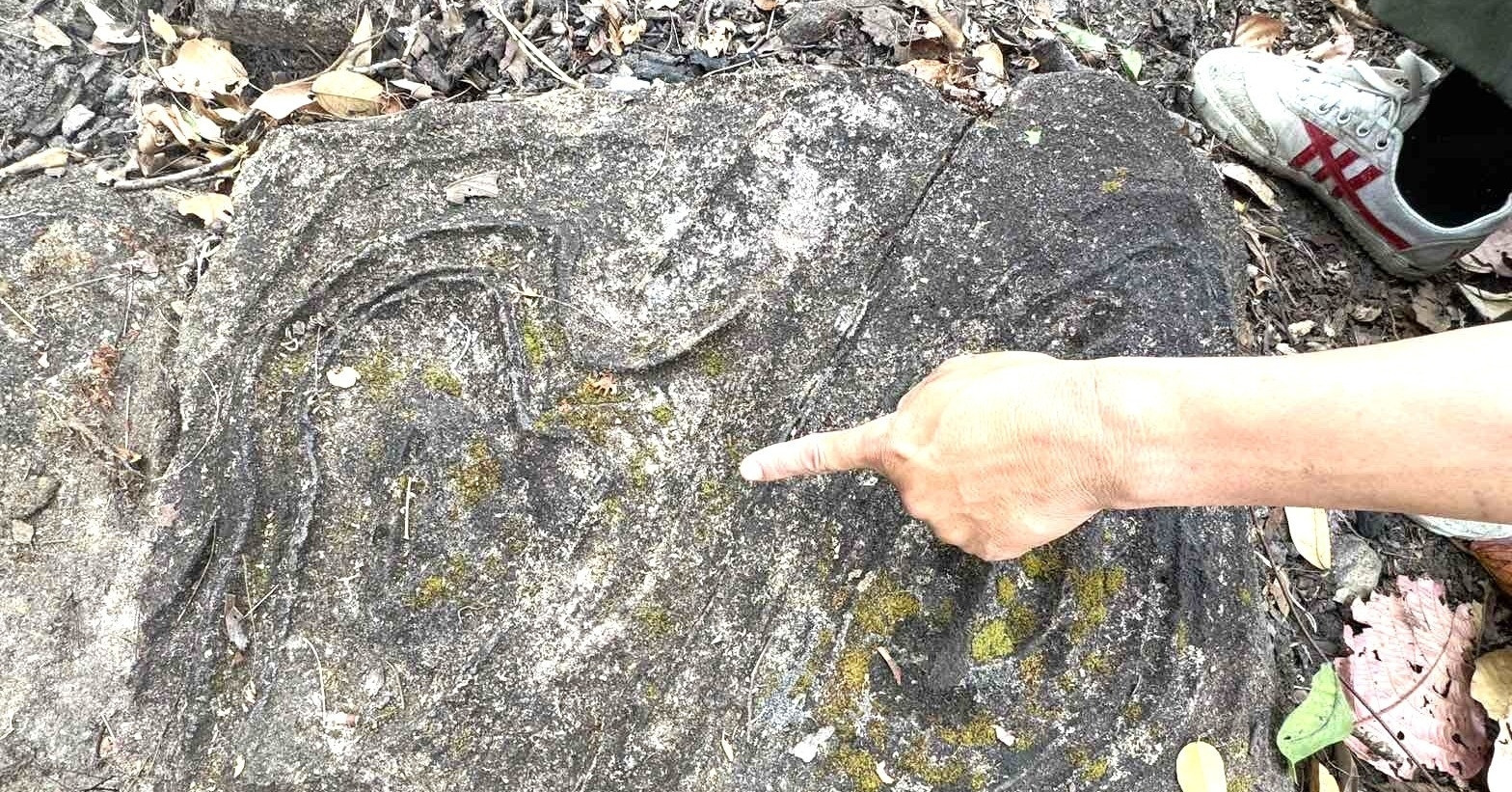 Mystery surrounds 65 carved stones discovered in Yok Don National Park
