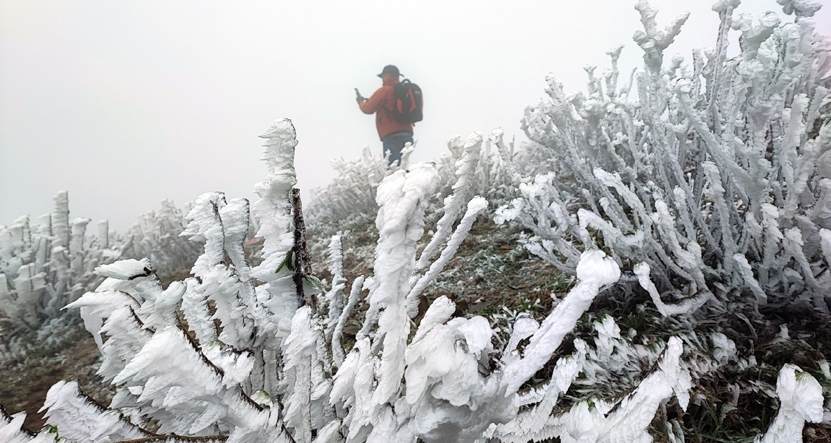 Successive cold surges sweep Vietnam as storm heads toward the East Sea
