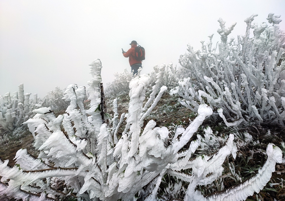 bang gia mau son ctv.jpg