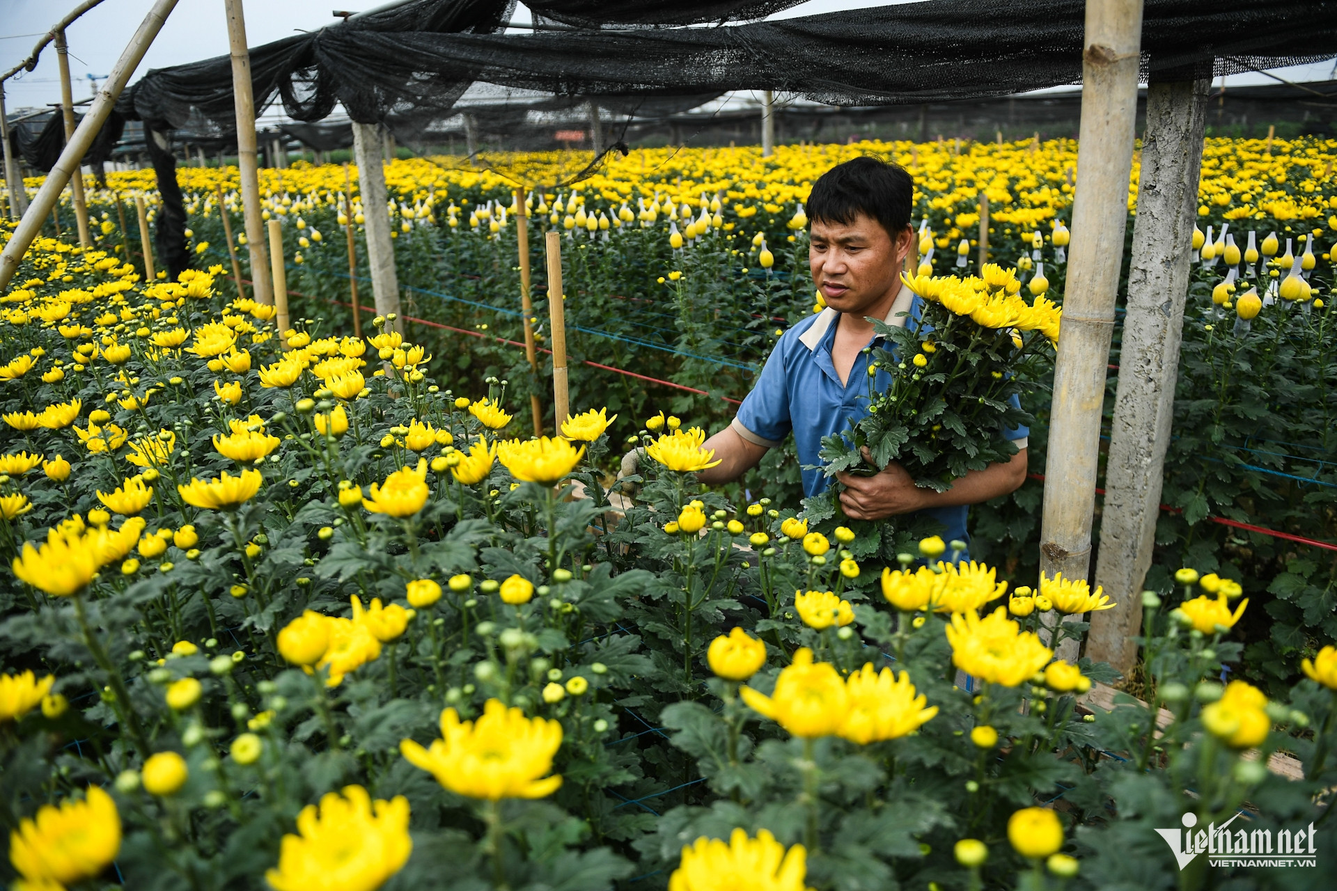 tay tuu village3.jpg