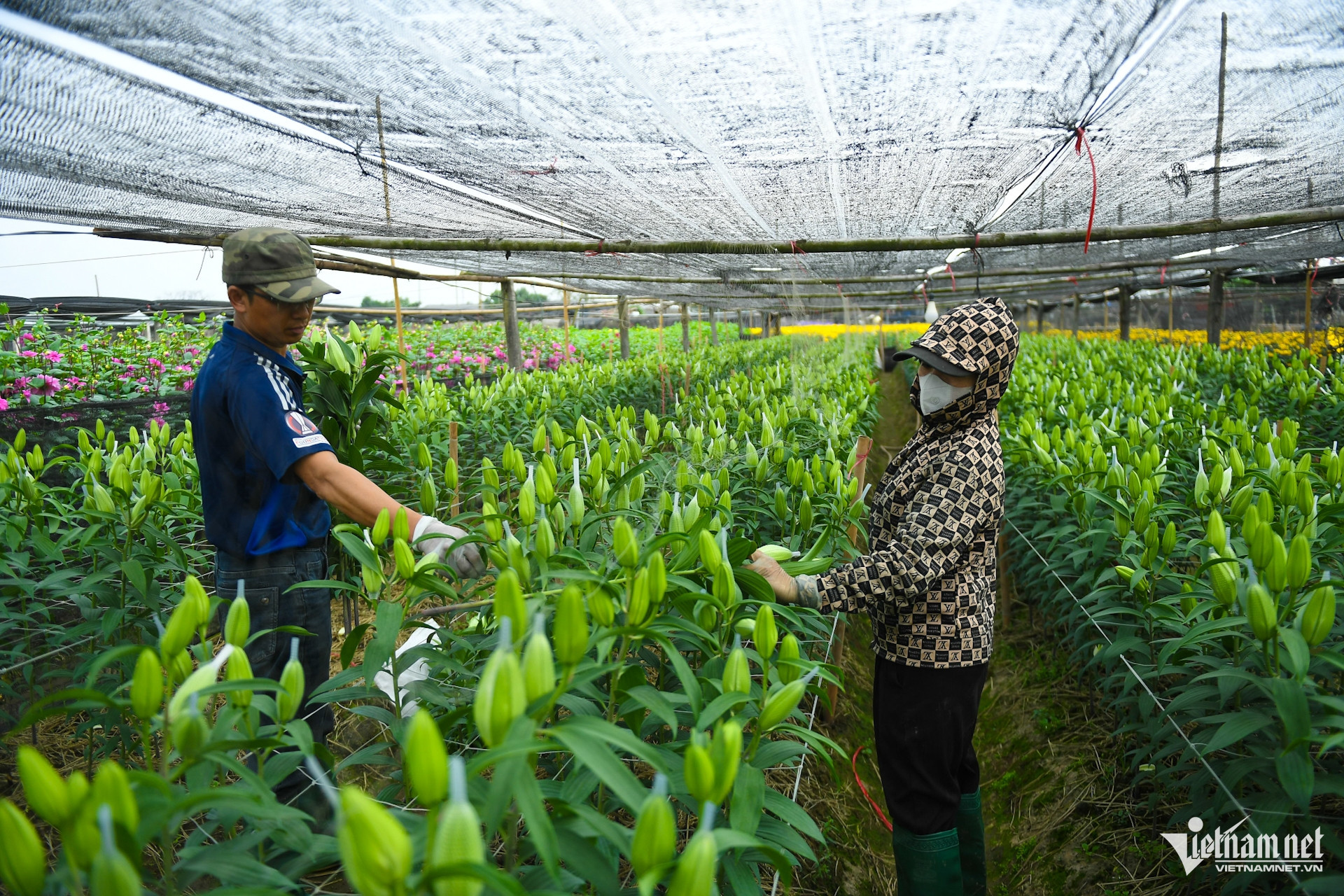 tay tuu village6.jpg