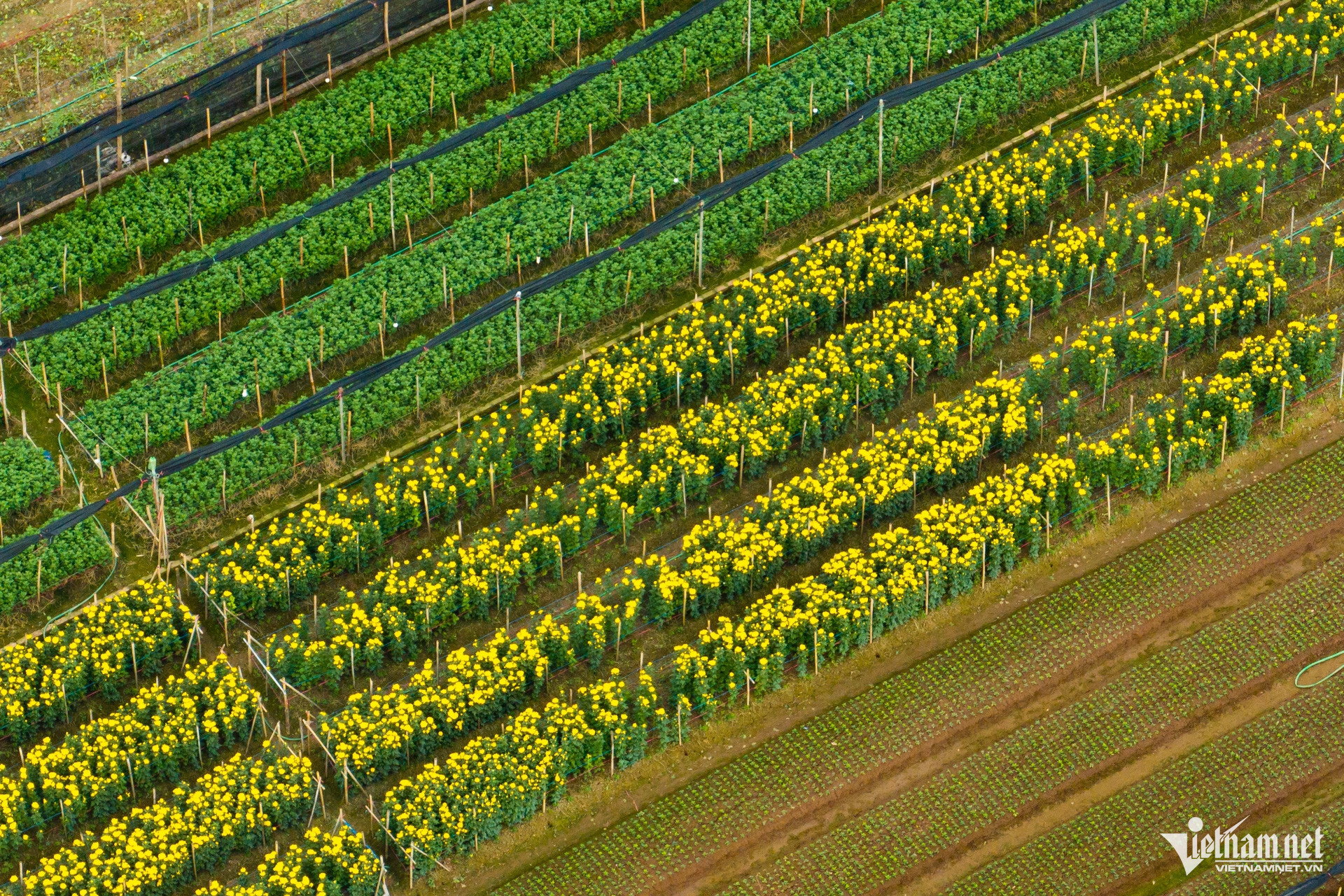 tay tuu village9.jpg