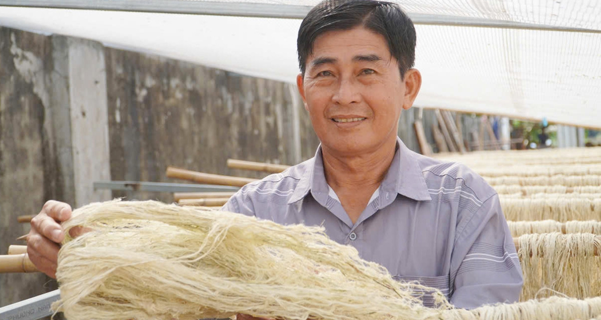 Can Tho farmer transforms discarded pineapple leaves into valuable fiber