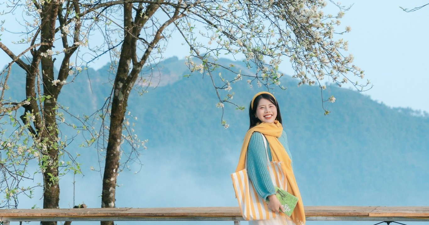 Wild apple blossoms blanket Ta Xua hills, drawing Hanoi travelers