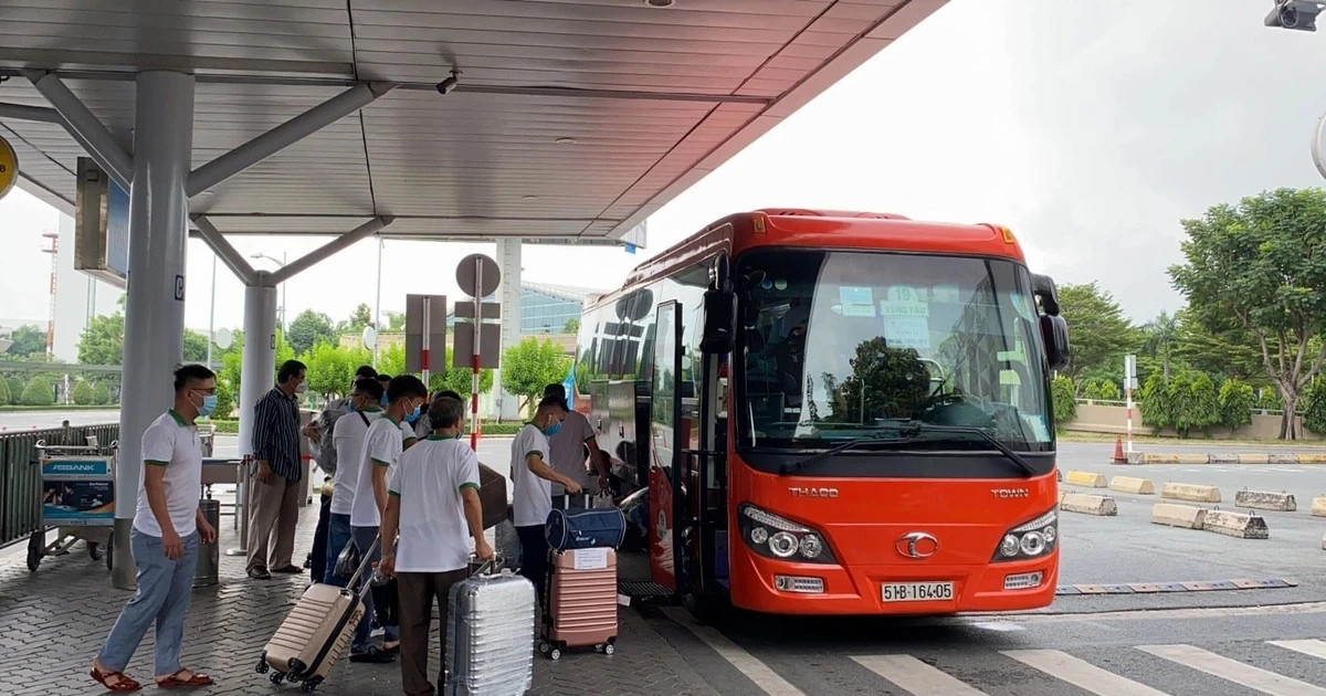 Major transport firms keep fares steady despite fuel price swings