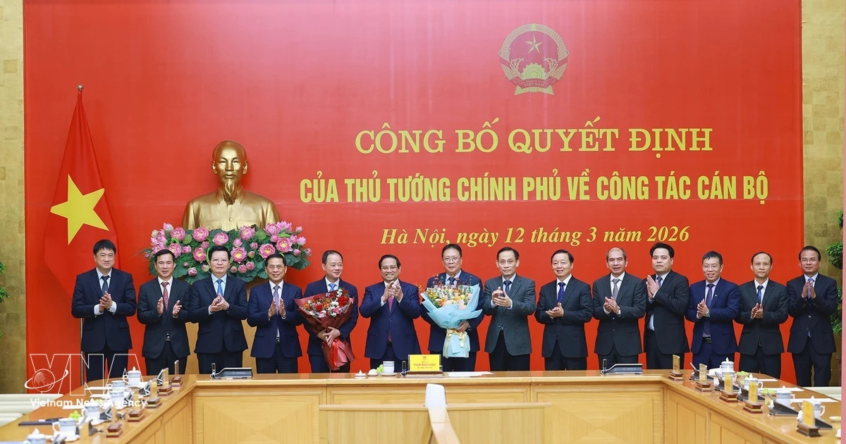 PM appoints new leader for Vietnam’s top science academy