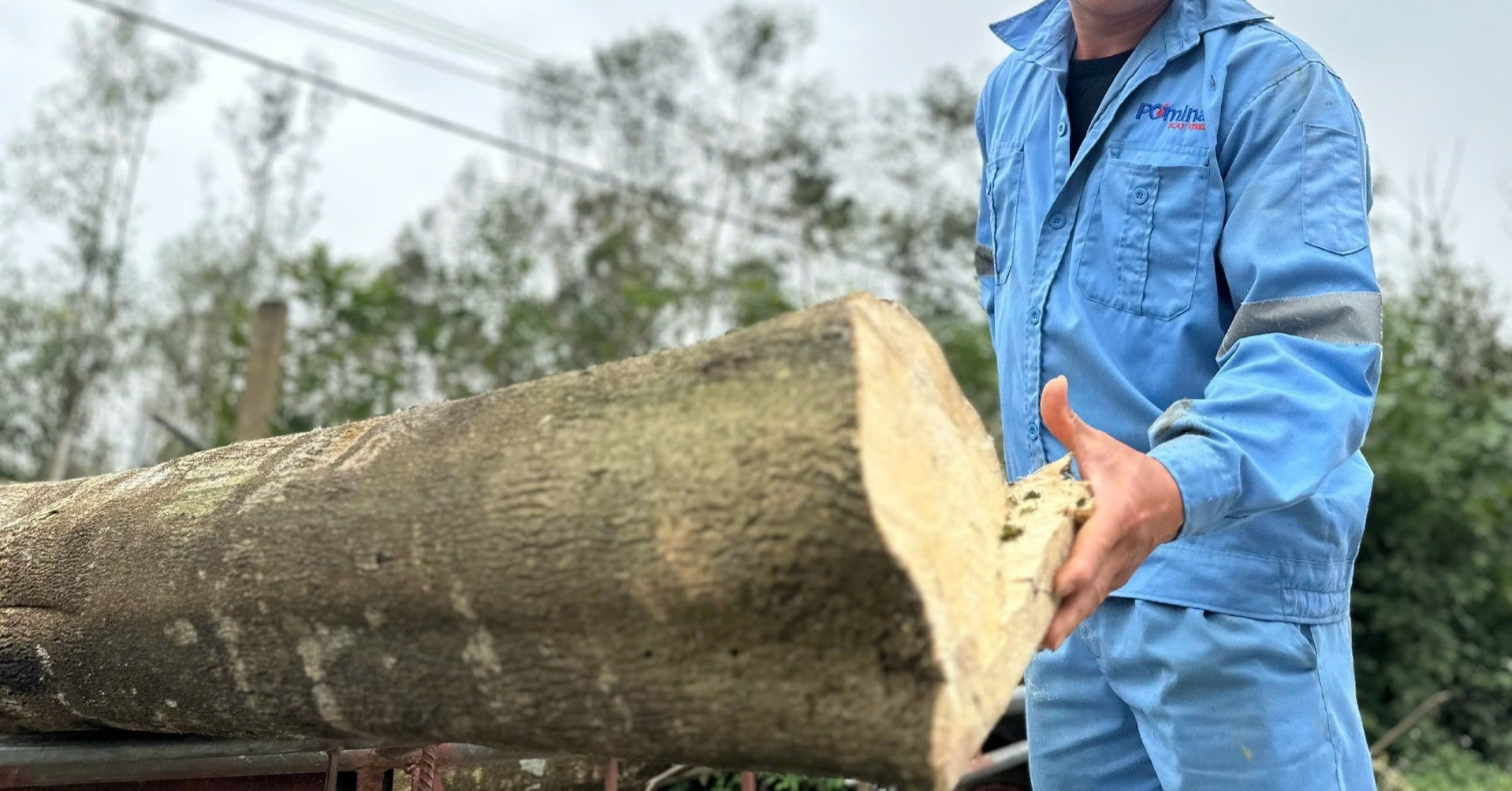 Searching for ‘forest gold’: A rural craft transforms livelihoods