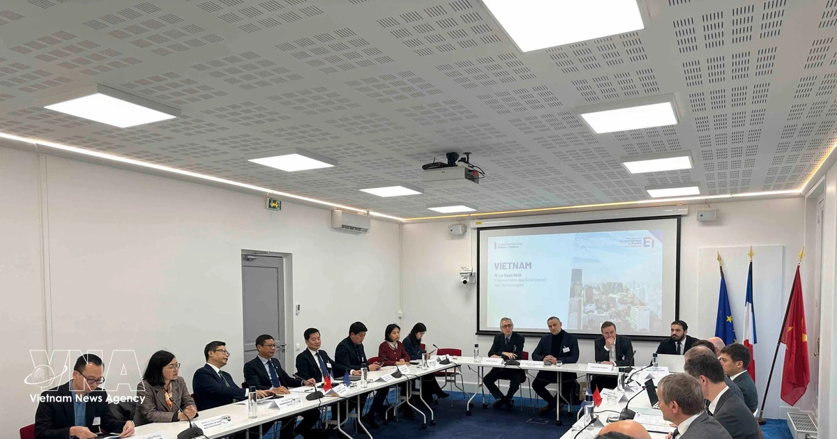 Vietnam promotes science, technology, energy cooperation with French businesses