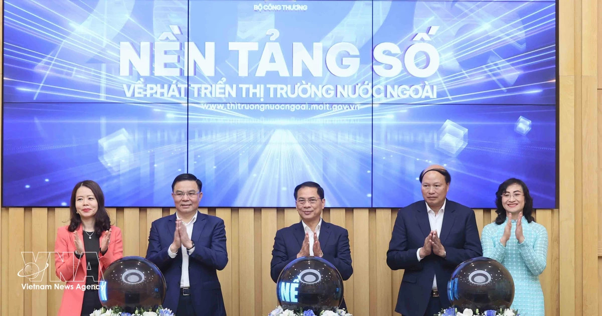 Digital platform on overseas market development launched