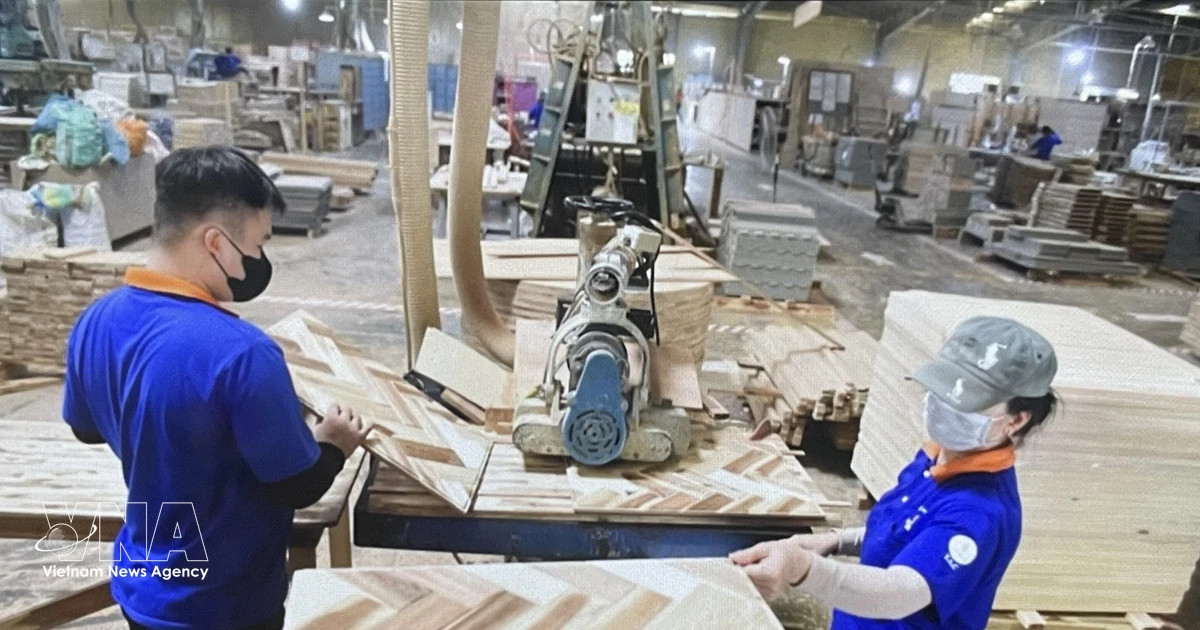 Vietnamese businesses ride wave of investment in green manufacturing