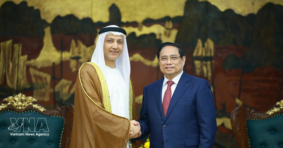 PM pushes forward energy cooperation with UAE after high-level talks